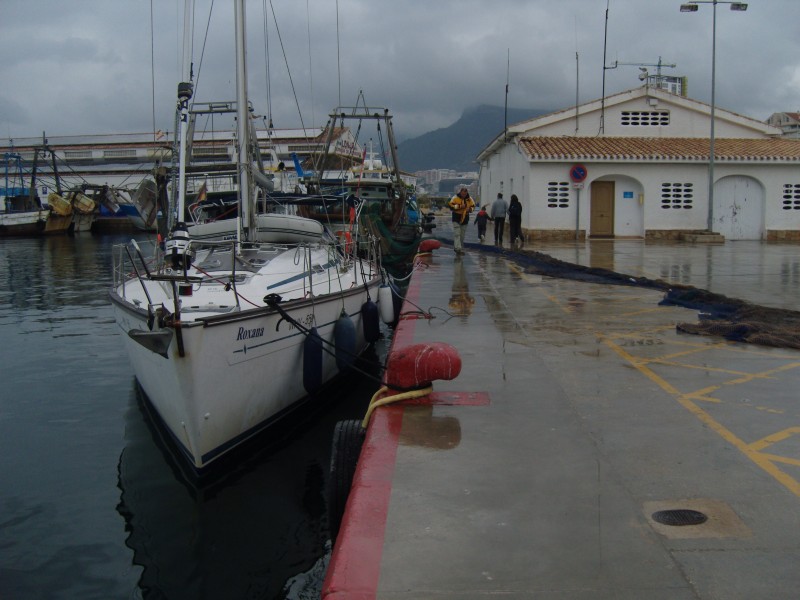 SN156806.JPG